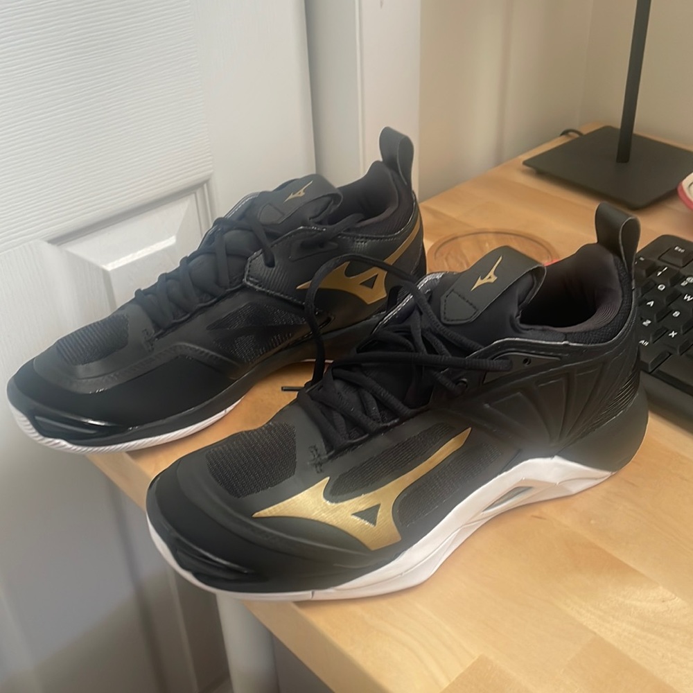 Mizuno Volleyball Shoes - Wave Momentum 2